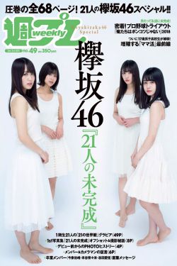 向风而行电视剧免费观看完整版